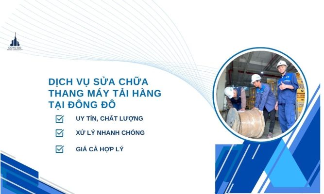 Chi Phí Lắp Đặt Thang Máy Tải Hàng 800kg Tại Hải Phòng