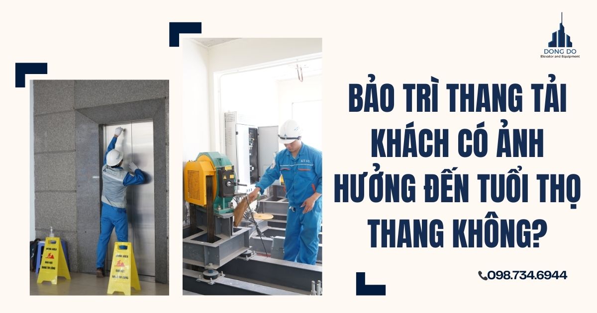 Bảo trì thang tải khách có ảnh hưởng đến tuổi thọ thang không
