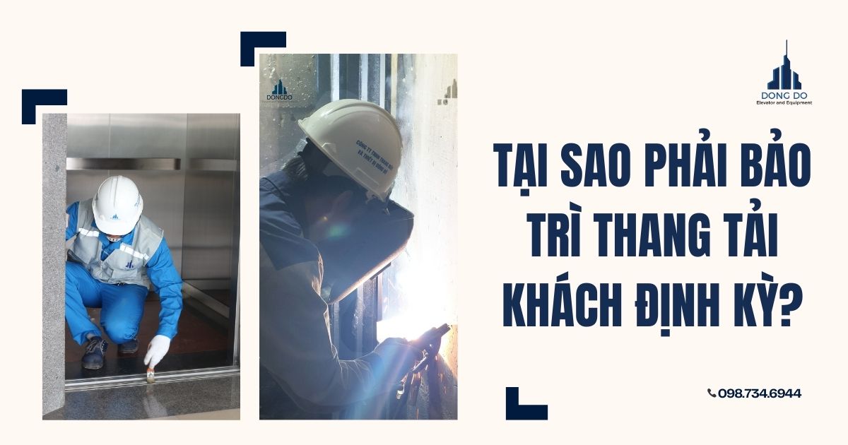 Tại sao phải bảo trì thang tải khách định kỳ