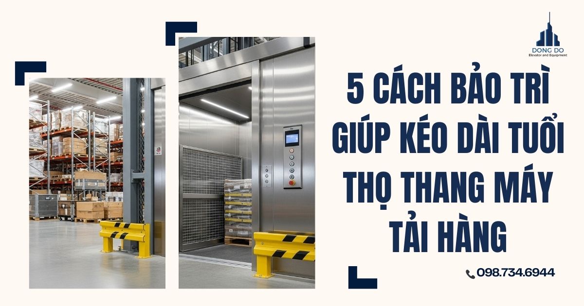 5 cách bảo trì giúp kéo dài tuổi thọ thang máy tải hàng