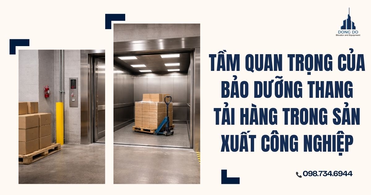Tầm quan trọng của bảo dưỡng thang tải hàng trong sản xuất công nghiệp