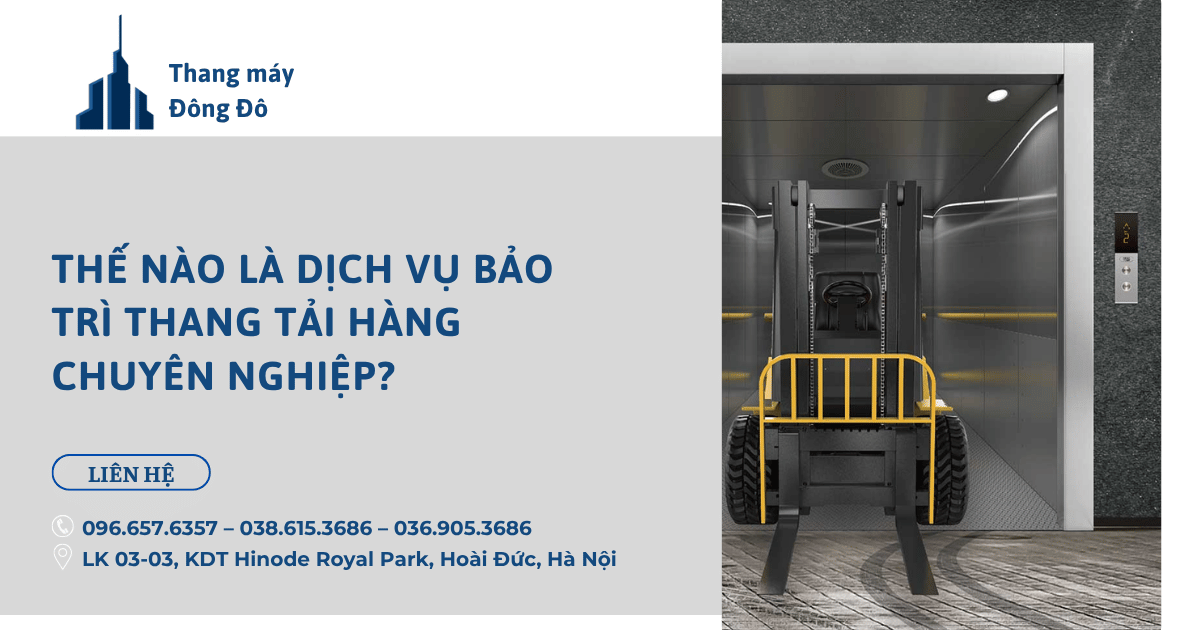 Thế nào là dịch vụ bảo trì thang tải hàng chuyên nghiệp?