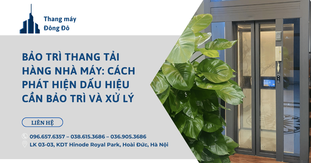 Bảo trì thang tải hàng nhà máy: Cách phát hiện dấu hiệu cần bảo trì và xử lý