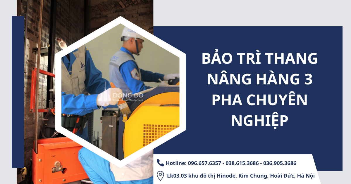 Bảo trì thang nâng hàng 3 pha chuyên nghiệp